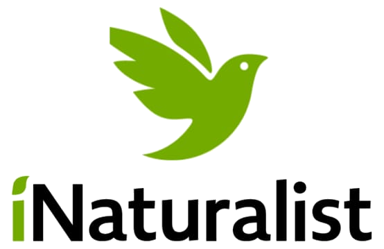 iNaturalist Kerala Logo